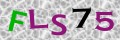 Code de s&eacute;curit&eacute;
